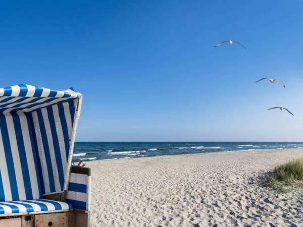 Fewo-Perner Moewenblick Ostseebad Kühlungsborn المظهر الخارجي الصورة